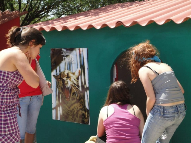 Acercamiento con animales